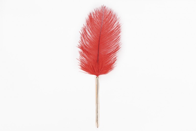 Bolígrafo Pluma Stationary