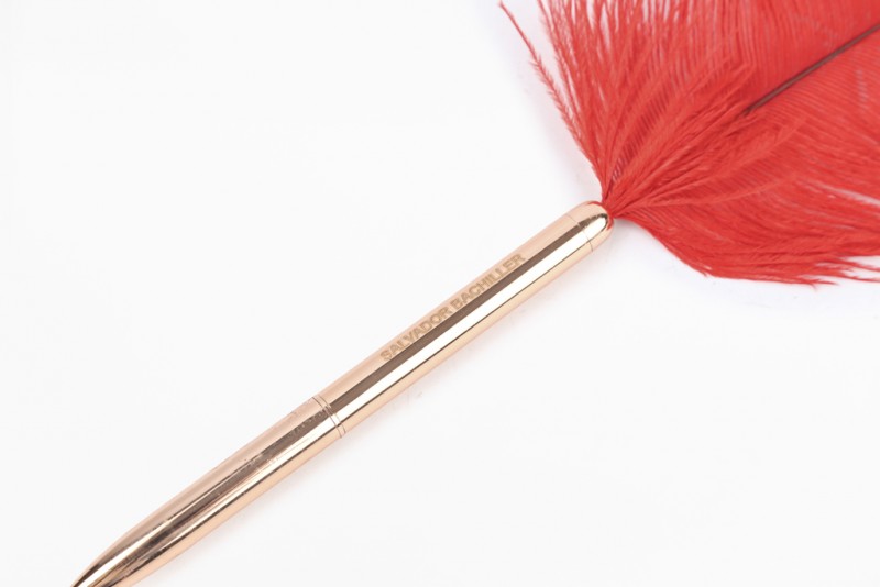 Bolígrafo Pluma Stationary