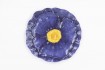 Plato Flor Love&home