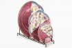 Expositor De 5 Platos 28x17cm Love&home