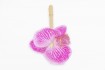 Bolígrafo Orquidea Stationary