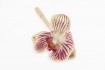 Bolígrafo Orquidea Stationary