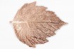 Salvamanteles Hoja De Loto Love&home