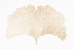 Salvamanteles Hoja Ginkgo Love&home