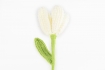 Flor Lily Edición Limitada