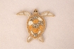 Broche Tortuga