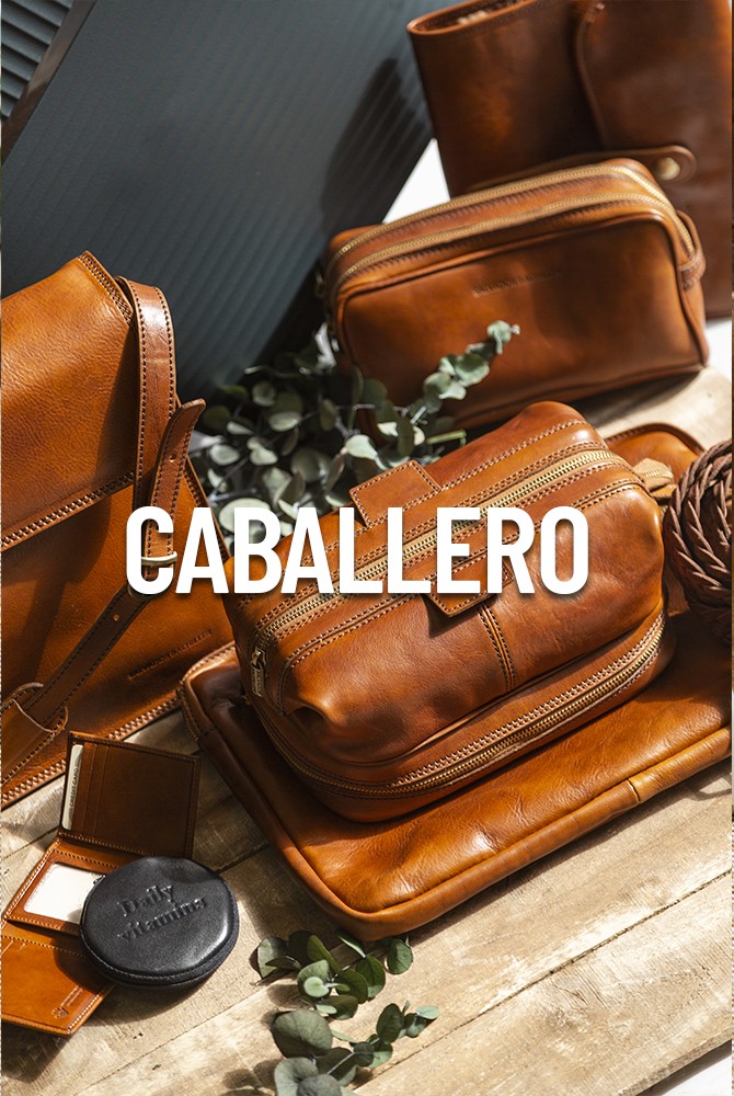 Tienda Online de Bolsos y Mochilas Salvador Bachiller